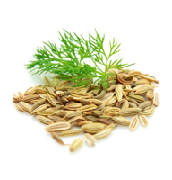 روغن رازیانه